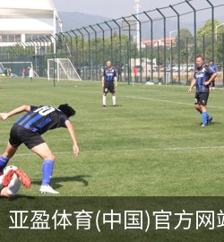 亚盈体育案例